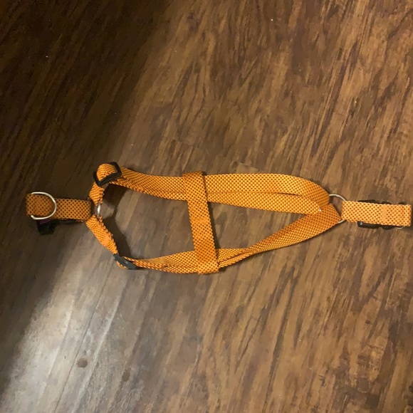 Halo Step-In Dog Harness and Leash Set - Picture 3 of 7